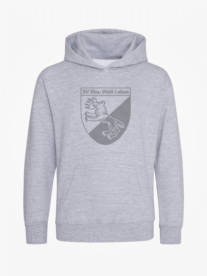 Hoodie All Grey Kids Unisex