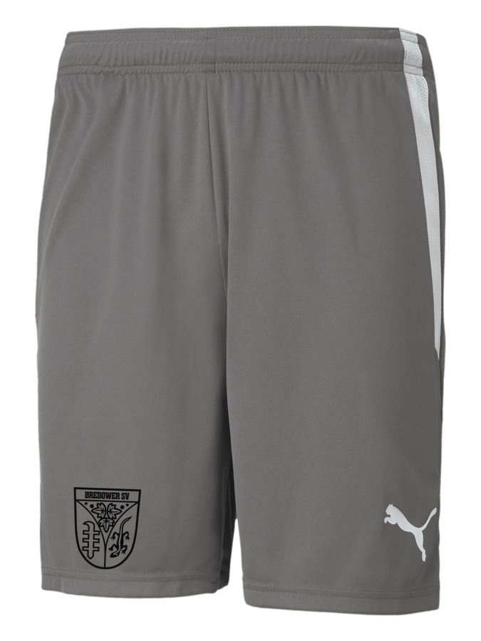 PUMA teamLIGA Shorts