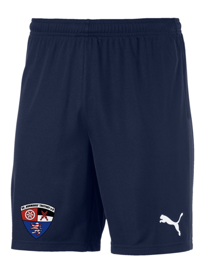 PUMA teamGOAL 23 Knit Shorts