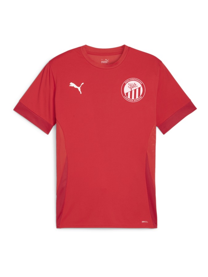 PUMA teamGOAL Matchday Trikot