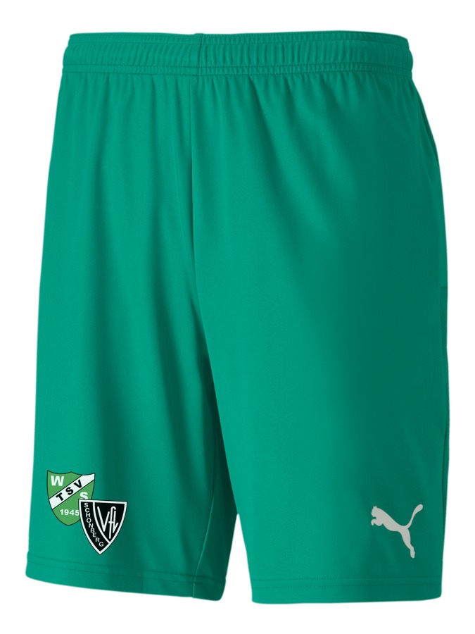 PUMA teamGOAL 23 Knit Shorts