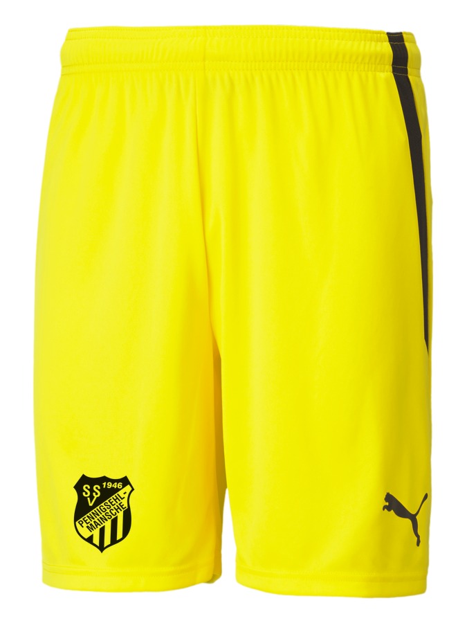 PUMA teamLIGA Shorts