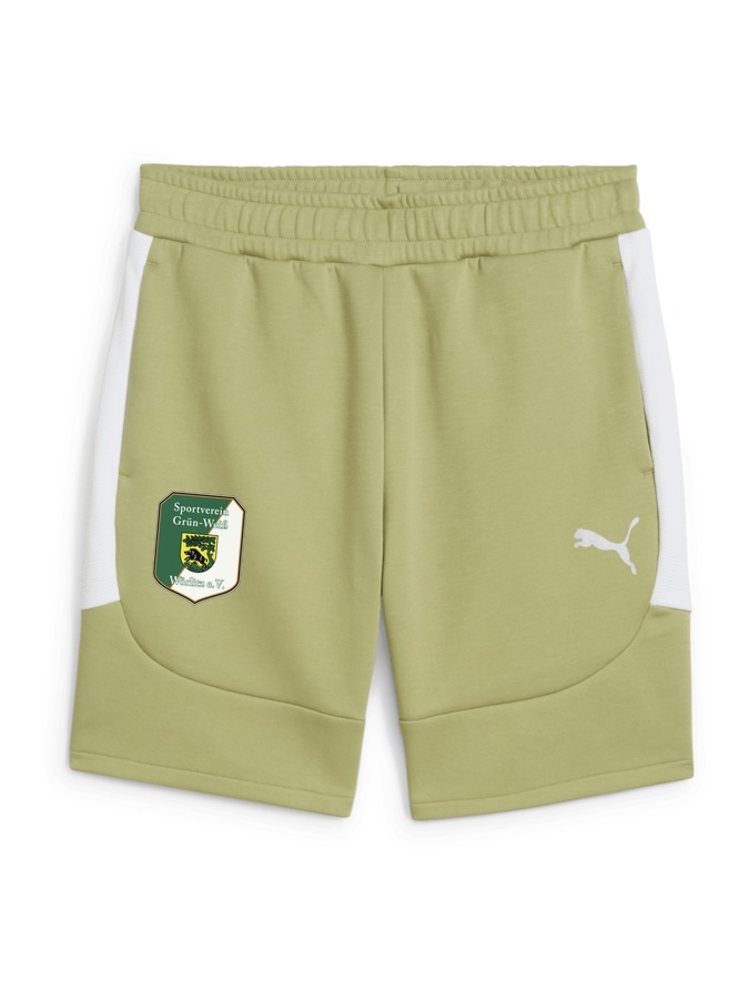 PUMA teamEVOSTRIPE Shorts