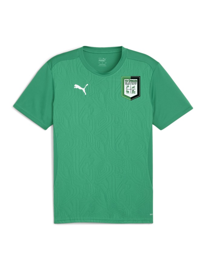 PUMA teamFINAL Trainingsshirt