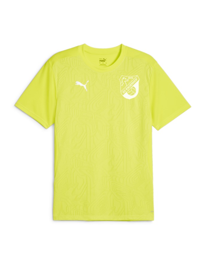 PUMA teamFINAL Trainingsshirt