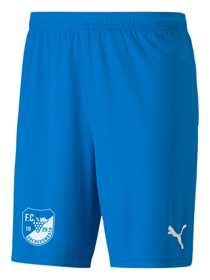 PUMA teamGOAL 23 Knit Shorts