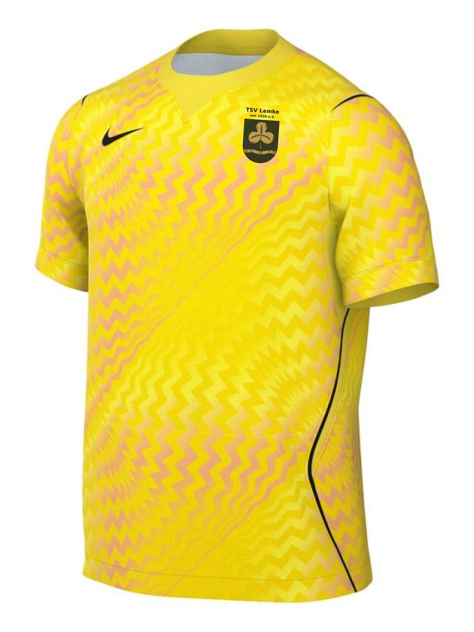 Nike Gardien VI Torwart Trikot
