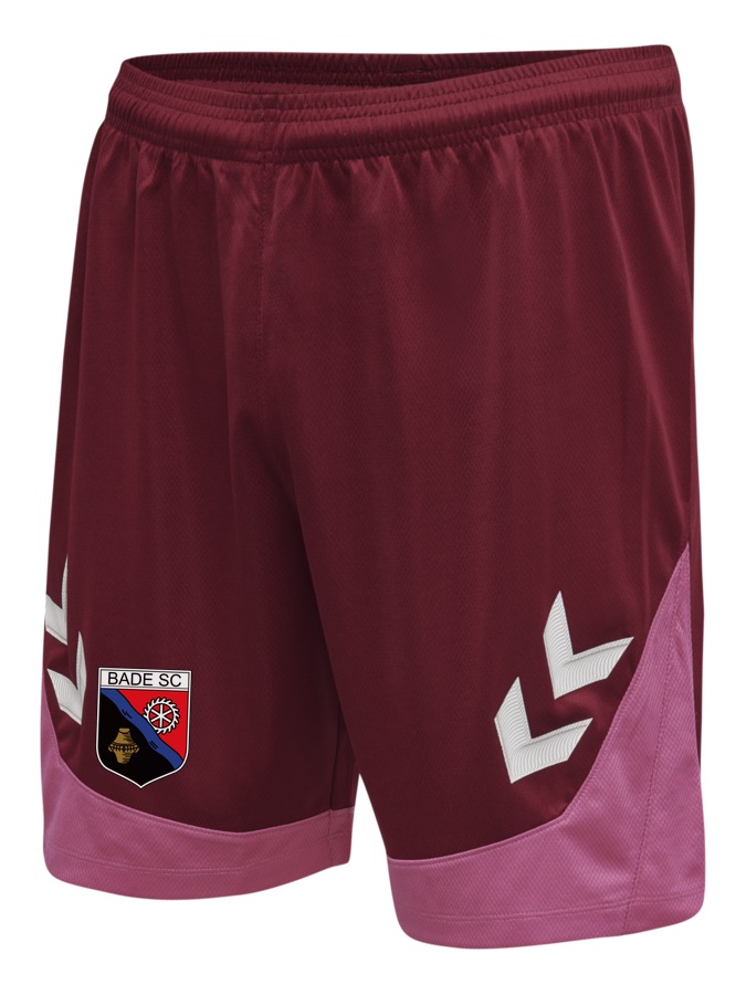 Hummel Lead Trainingsshorts