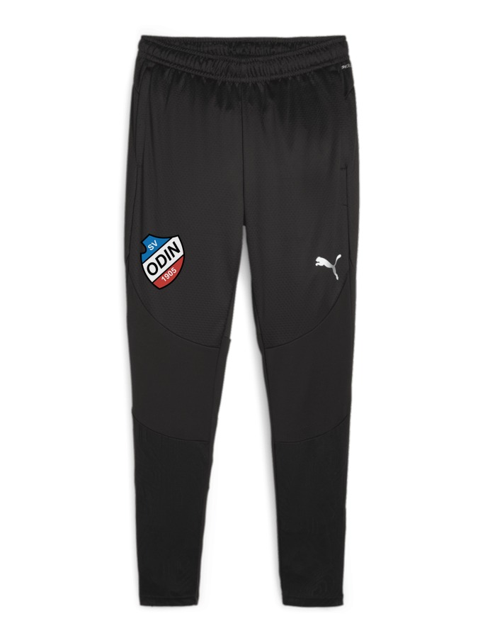 PUMA teamFINAL Trainingshose