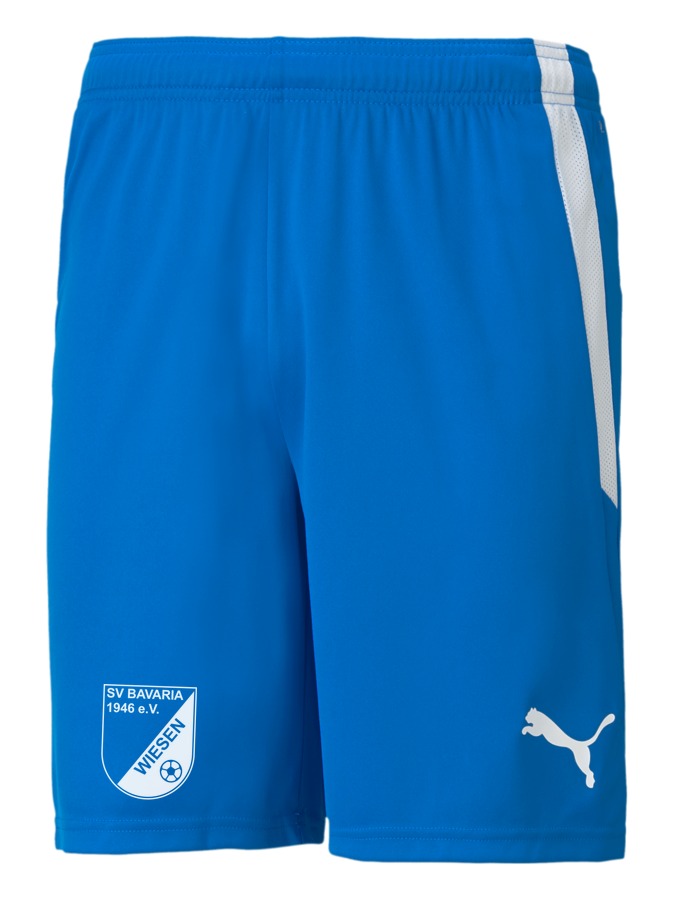 PUMA teamLIGA Shorts