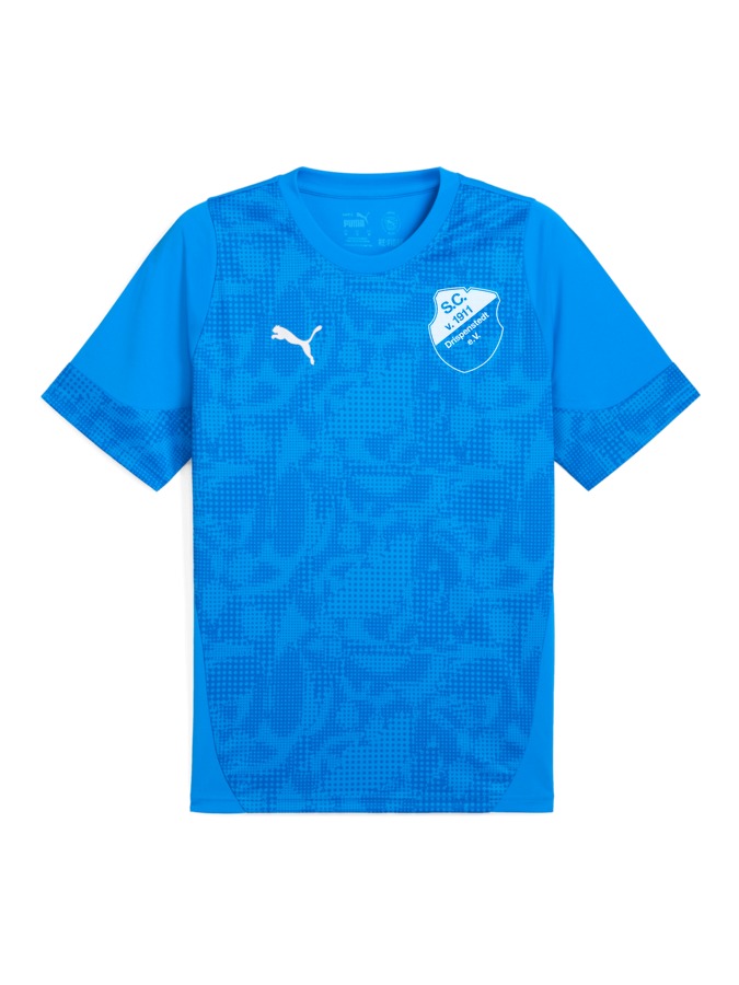 PUMA teamCUP Trainingsshirt