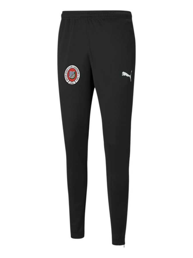 PUMA teamRISE Poly Trainingshose