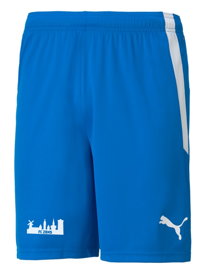 PUMA teamLIGA Shorts