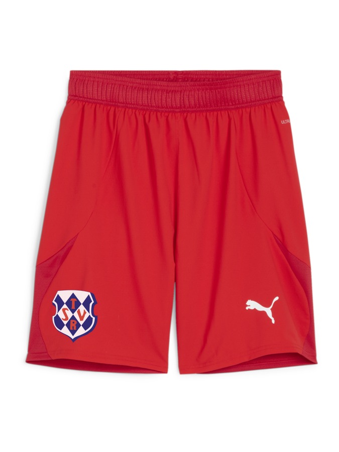 PUMA teamFINAL Shorts