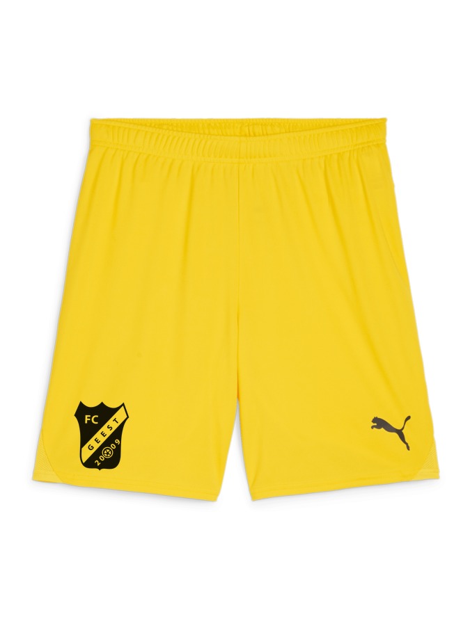 PUMA teamGOAL Shorts