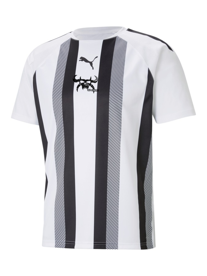 PUMA teamLIGA Striped Trikot