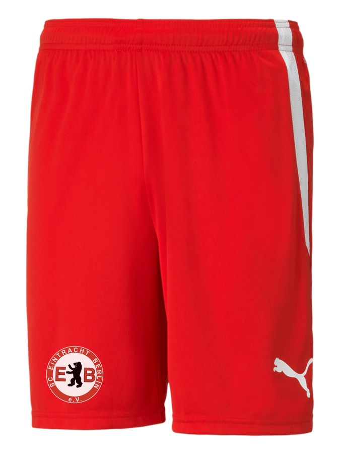 PUMA teamLIGA Shorts