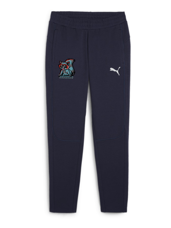 PUMA teamFINAL Casuals Hose
