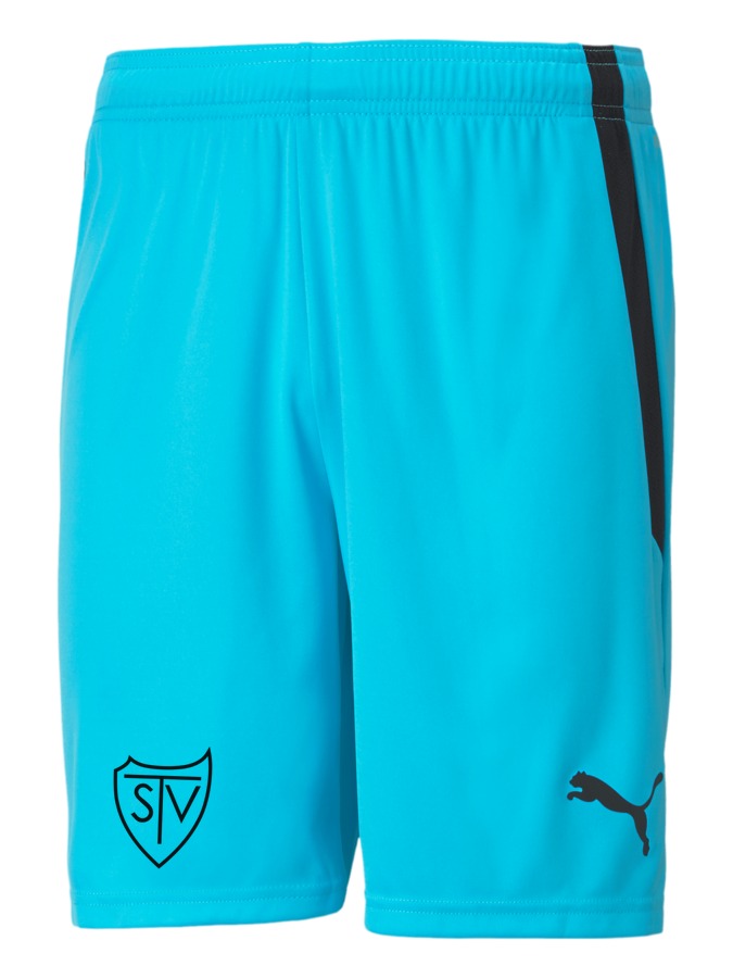 PUMA teamLIGA Shorts