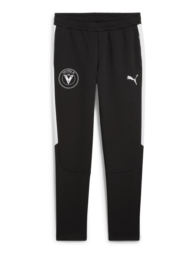 PUMA teamEVOSTRIPE Hose