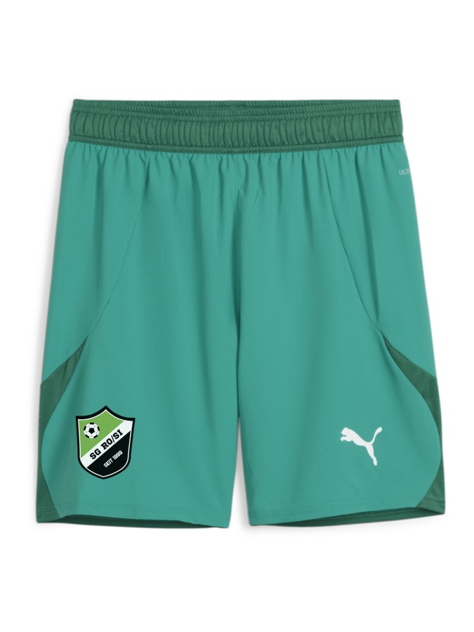 PUMA teamFINAL Shorts