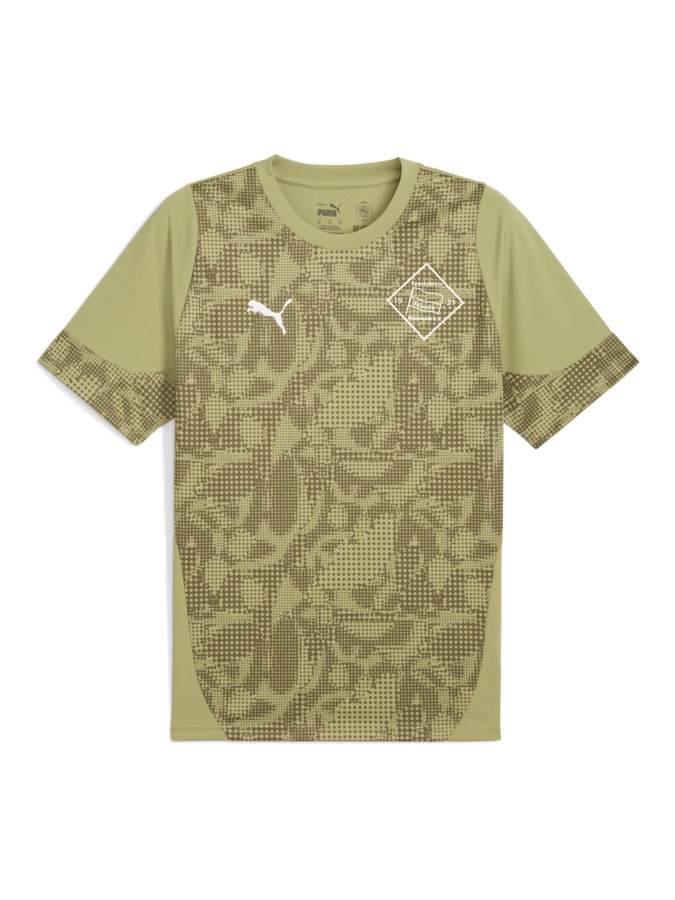 PUMA teamCUP Trainingsshirt