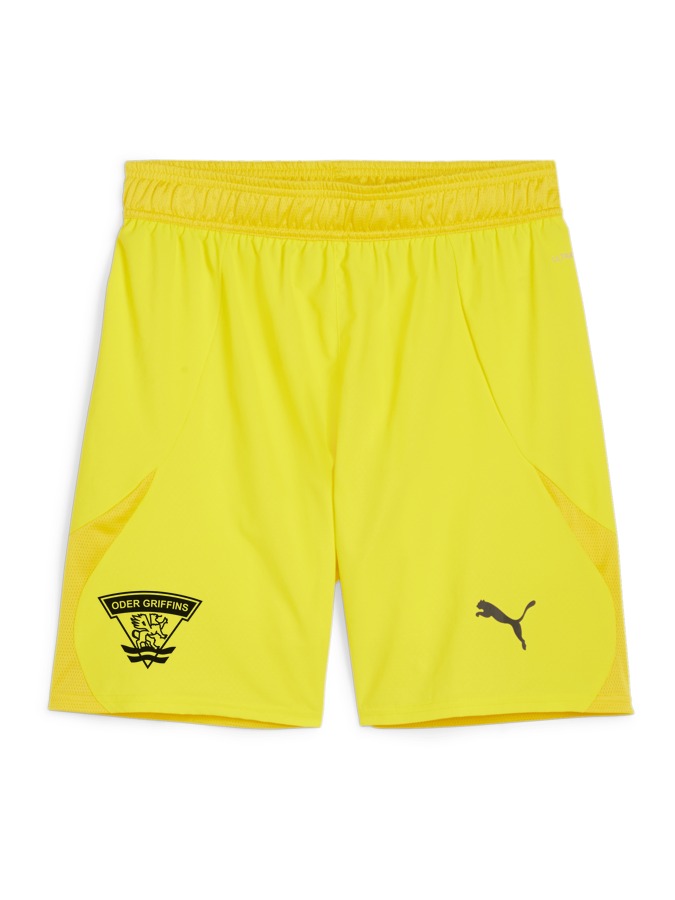 PUMA teamFINAL Shorts