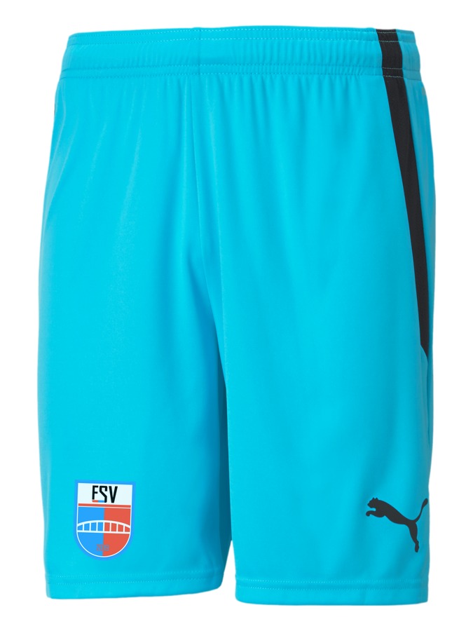 PUMA teamLIGA Shorts