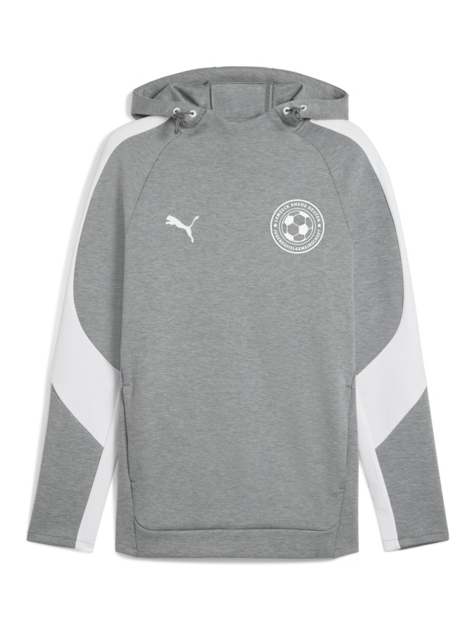 PUMA teamEVOSTRIPE Hoody