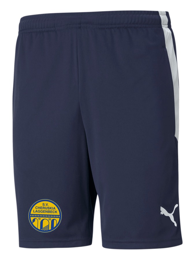 PUMA teamLIGA Training Shorts