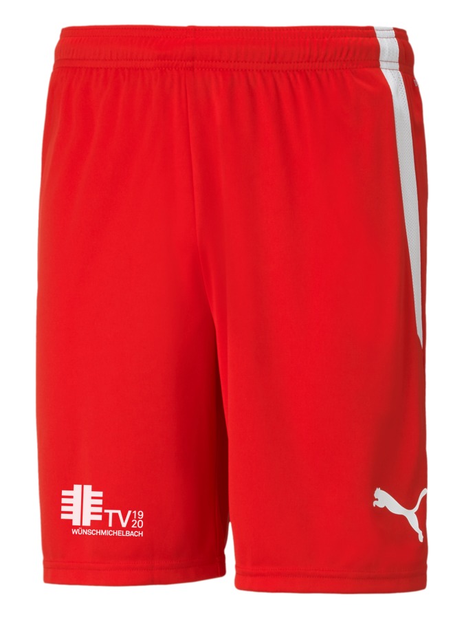 PUMA teamLIGA Shorts