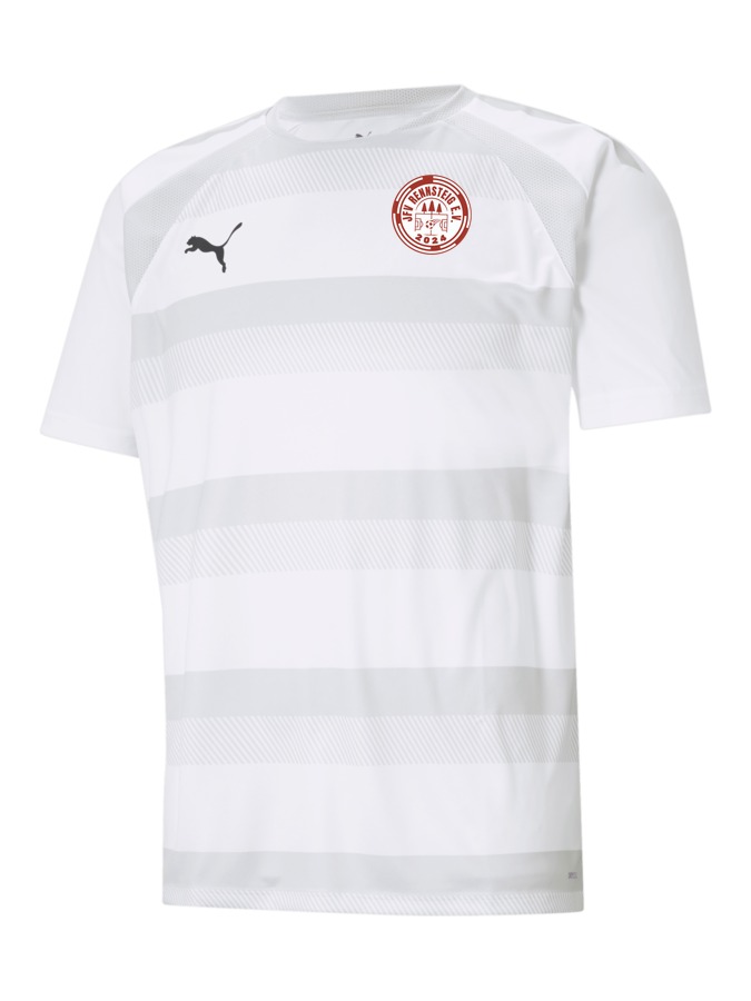 PUMA teamVISION Trikot
