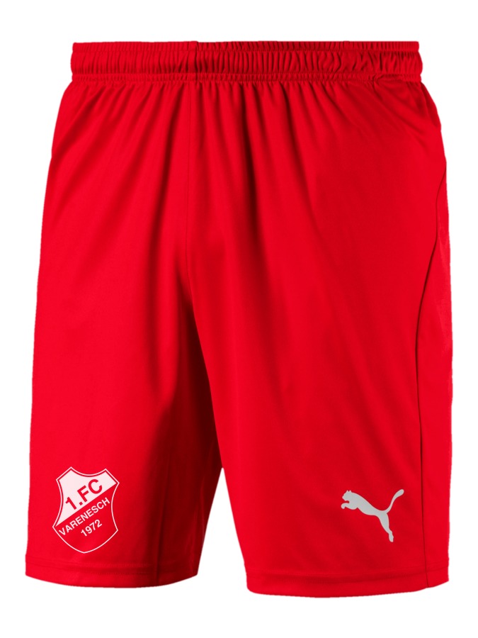PUMA LIGA Shorts Core