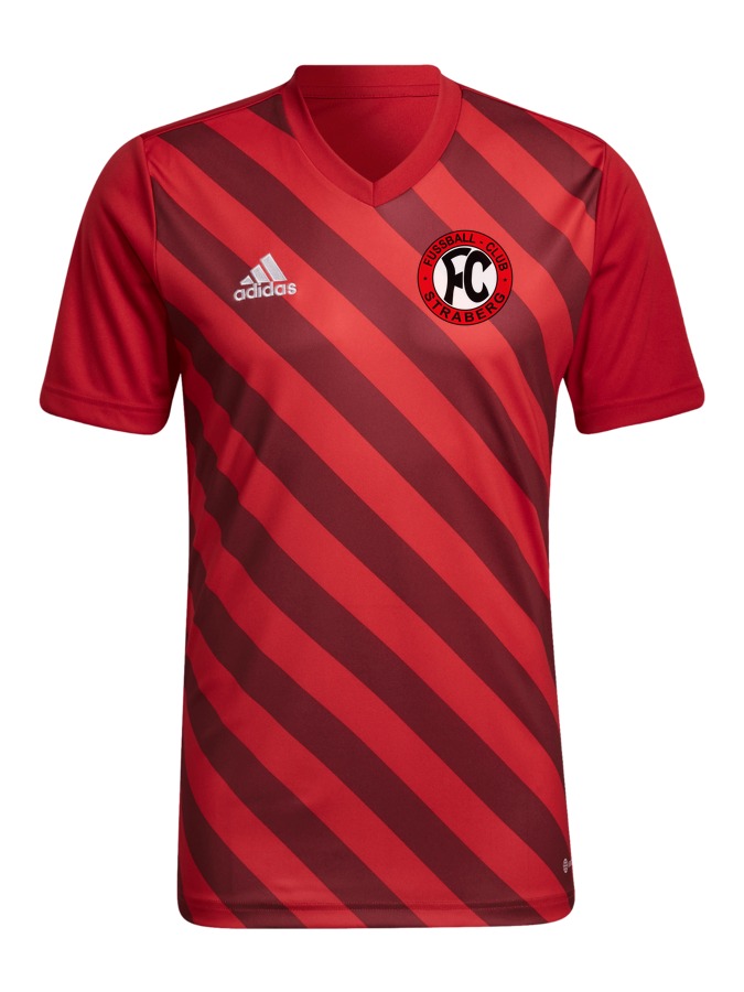adidas Entrada 22 GFX Trikot