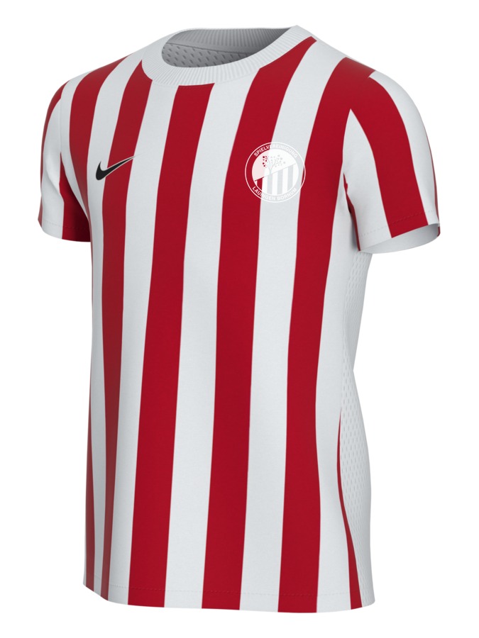 Nike Division 4 Striped Kurzarm Trikot Kinder