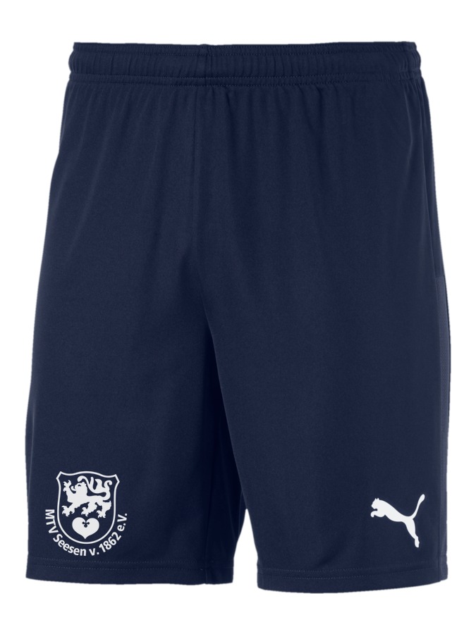 PUMA teamGOAL 23 Knit Shorts