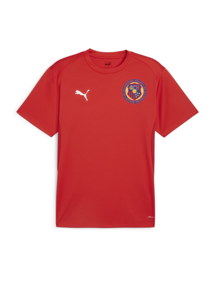 PUMA teamGOAL Trikot