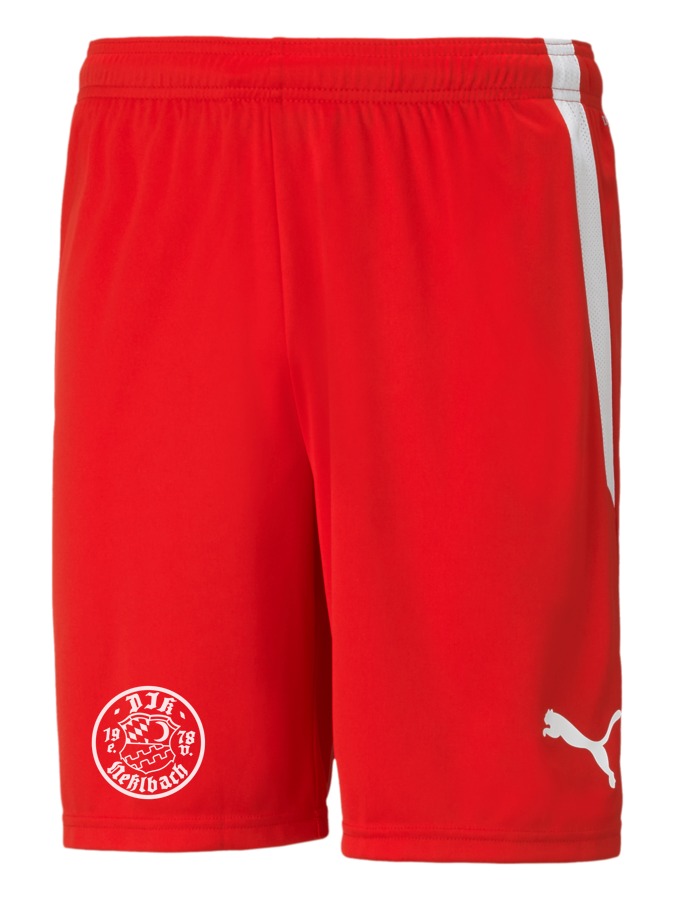 PUMA teamLIGA Shorts