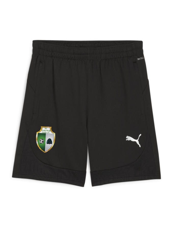 PUMA teamFINAL Training Shorts
