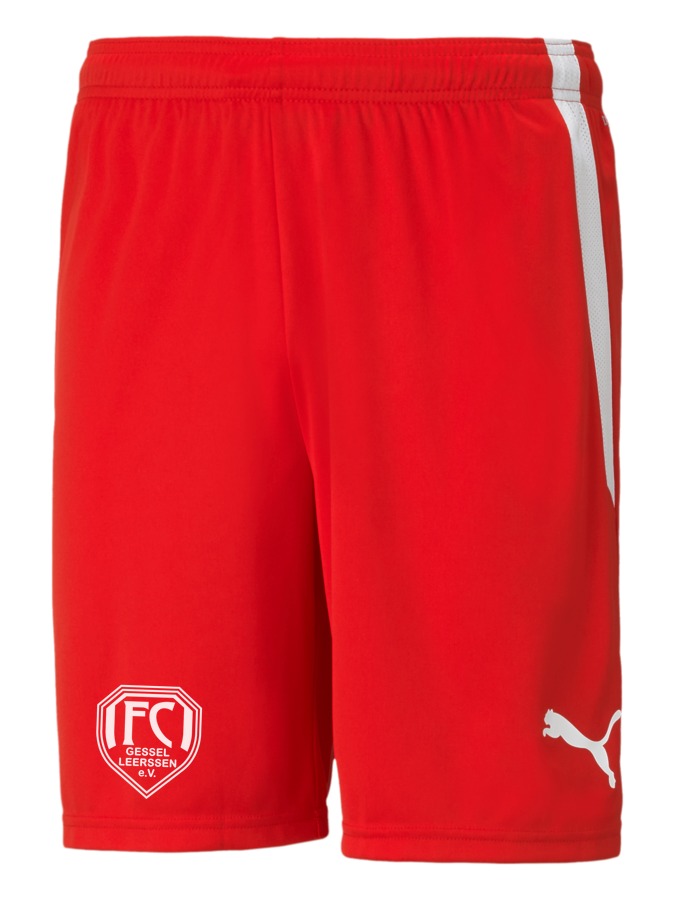 PUMA teamLIGA Shorts