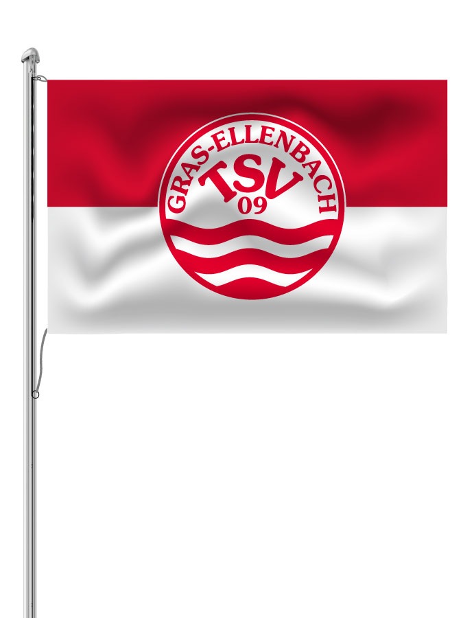 Hissfahne Logo