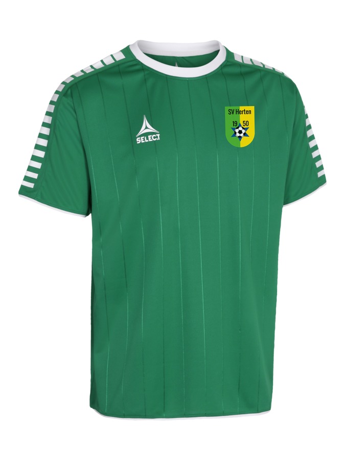 Select Argentina Trikot