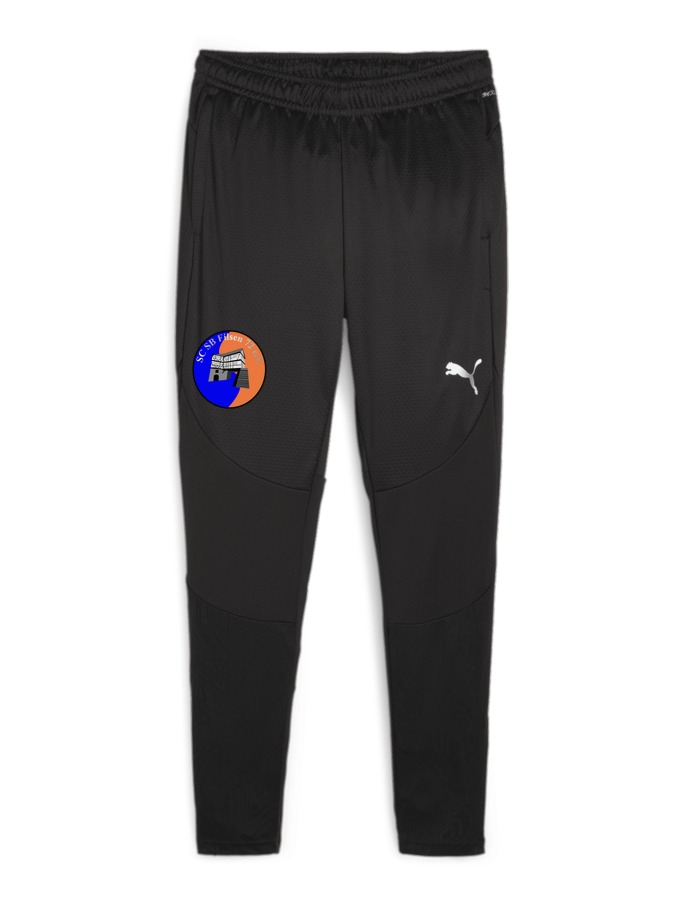 PUMA teamFINAL Trainingshose