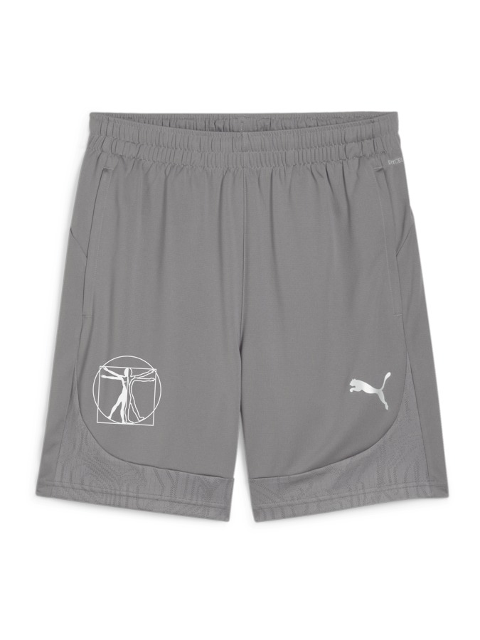 PUMA teamFINAL Training Shorts