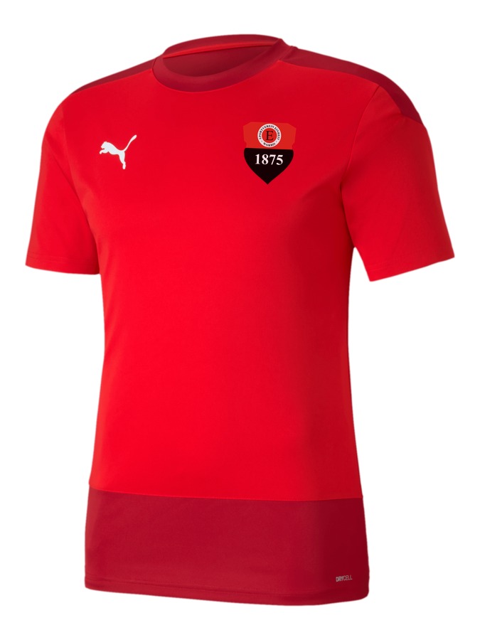 PUMA teamGOAL 23 Trainingsshirt