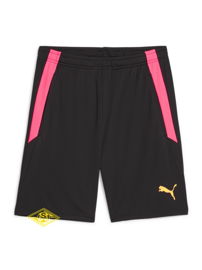 PUMA teamLIGA Training Shorts 2 (Offene Taschen)