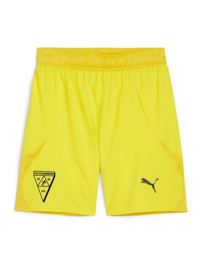 PUMA teamFINAL Shorts