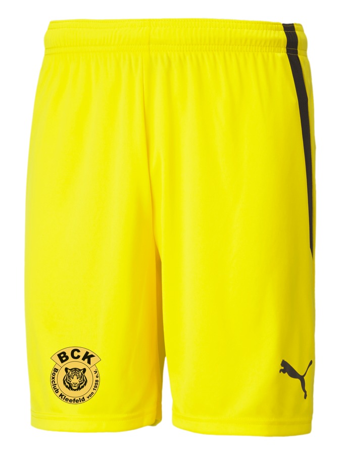 PUMA teamLIGA Shorts