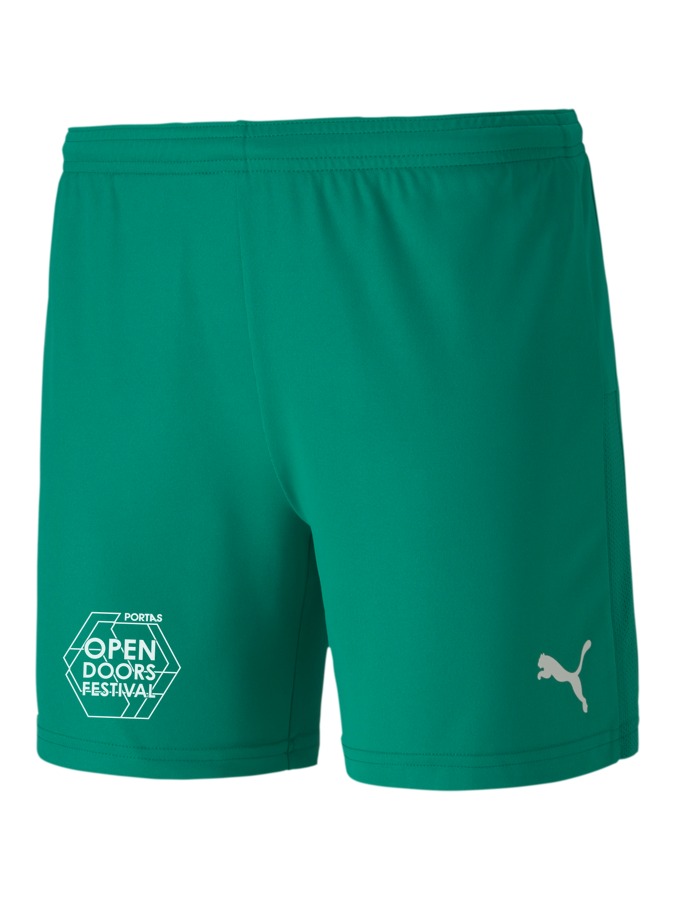 PUMA teamGOAL 23 Knit Shorts Damen