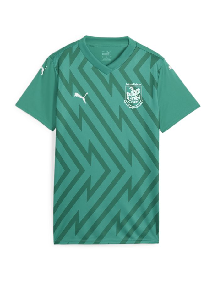 PUMA teamGLORY Trikot Damen